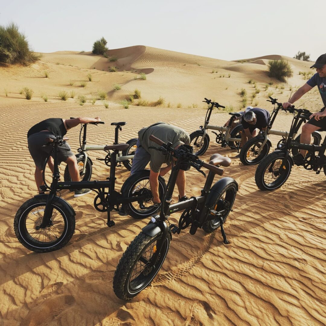 Dubai Desert E-Bike Experience - Sunrise Nature Ride (With Transfers & Refreshments)